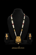 Ishani Elegant Long Set